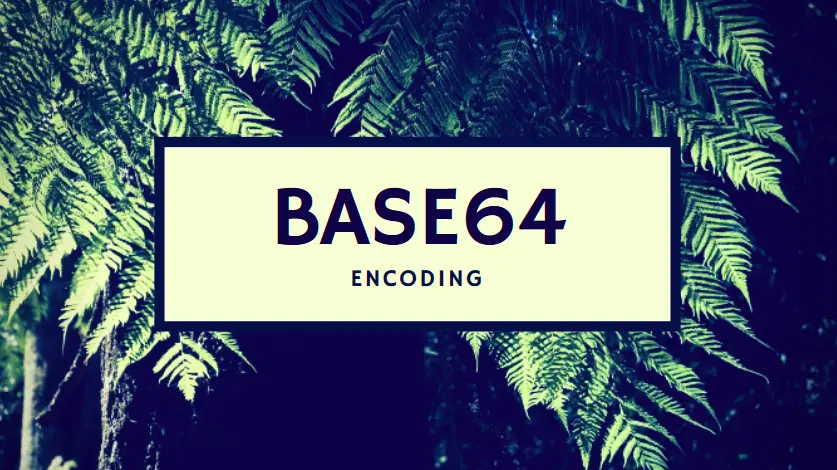 /posts/base64-encoding-is-not-unique/base64-encoding.webp